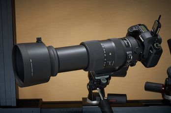 シグマ 60-600mm F4.5-6.3 DG OS HSM | Sports を使ってみました